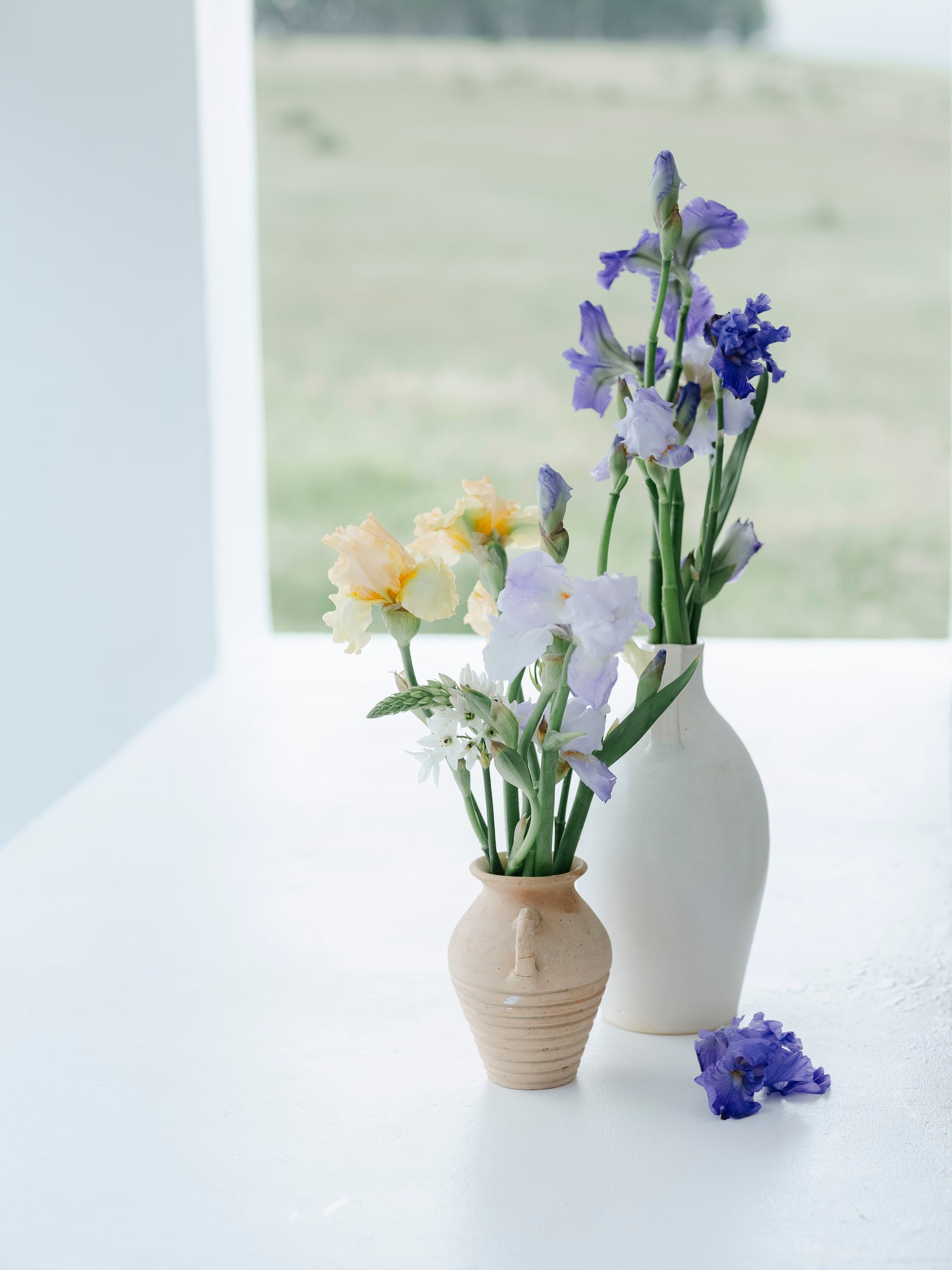 Luxe Petal Flower Bouquet Subscription