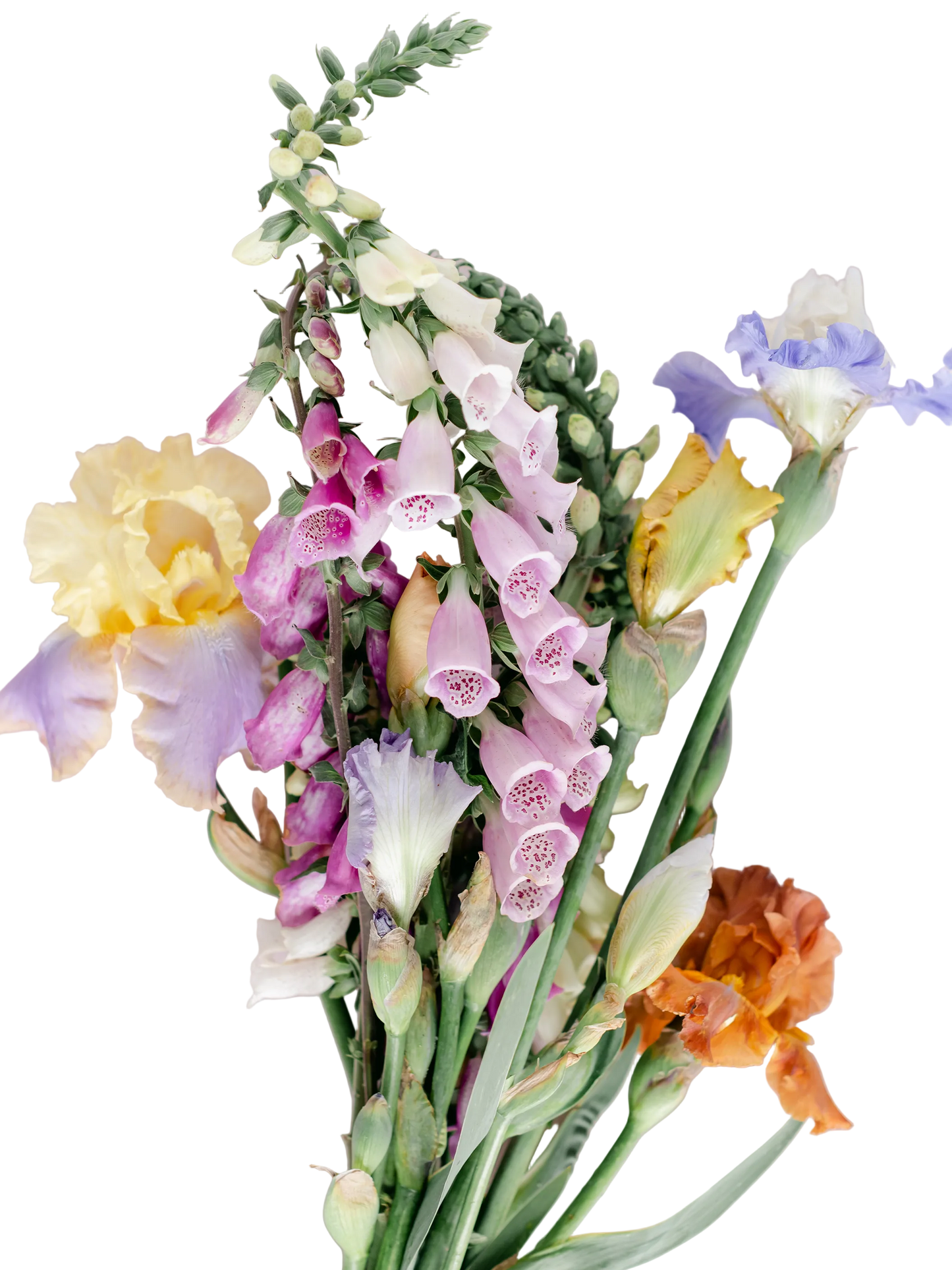 Flourish & Bloom Seasonal Bouquet Subscription