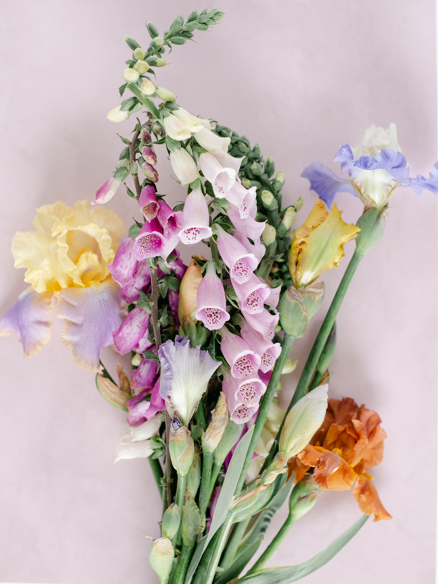 Luxe Petal Flower Bouquet Subscription