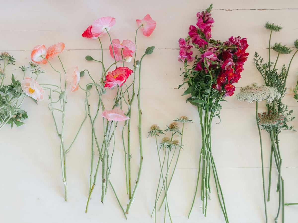 Pick Your Own Flowers